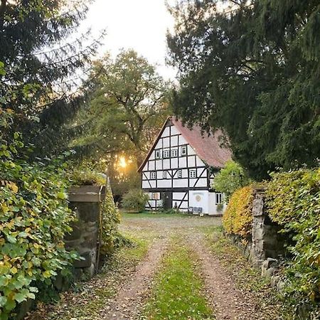 Wassermuehle Triglitz - Alleinlage Fuer Retreats, Workshops, Family & Friends Esterno foto