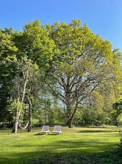 Wassermuehle Triglitz - Alleinlage Fuer Retreats, Workshops, Family & Friends Esterno foto