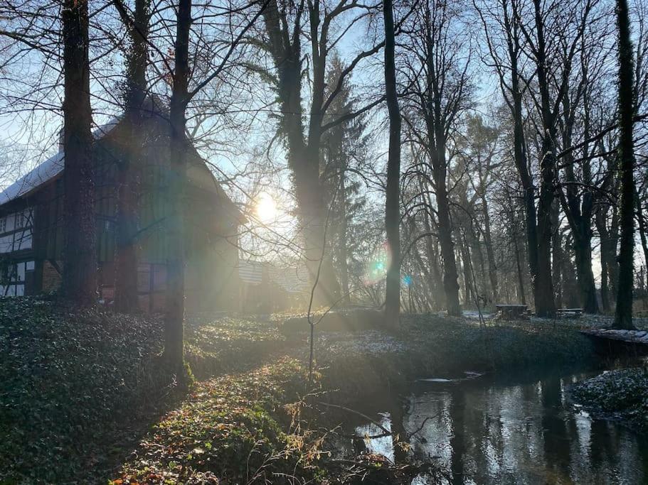 Wassermuehle Triglitz - Alleinlage Fuer Retreats, Workshops, Family & Friends Esterno foto