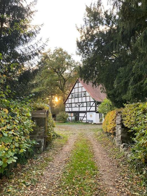 Wassermuehle Triglitz - Alleinlage Fuer Retreats, Workshops, Family & Friends Esterno foto