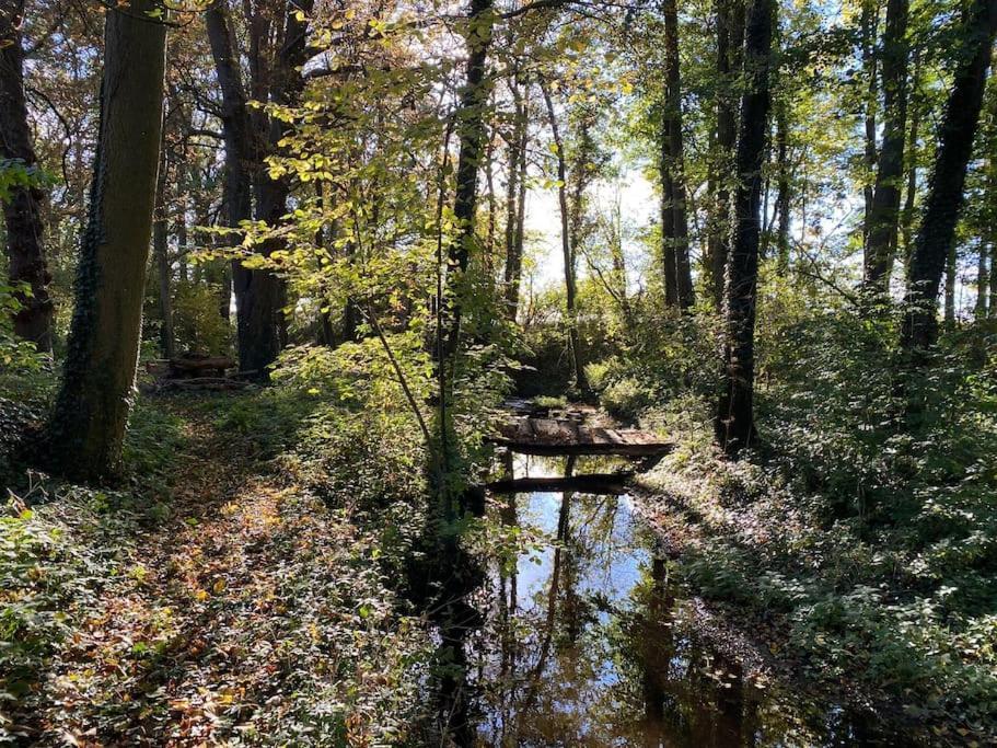 Wassermuehle Triglitz - Alleinlage Fuer Retreats, Workshops, Family & Friends Esterno foto
