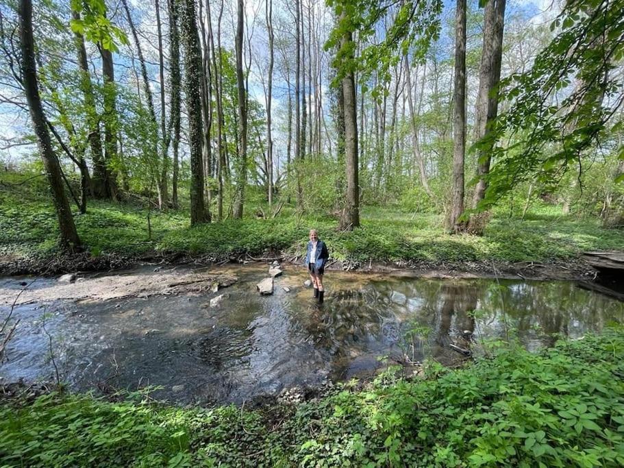 Wassermuehle Triglitz - Alleinlage Fuer Retreats, Workshops, Family & Friends Esterno foto